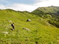 16 auf Hoehe der Krumpenalm wir rasten erst beim Rueckmarsch